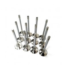 Exhaust valve 20798533